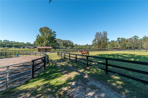 Tiny photo for 8820 NW 130th Street, Reddick, FL 32686 (MLS # OM713052)