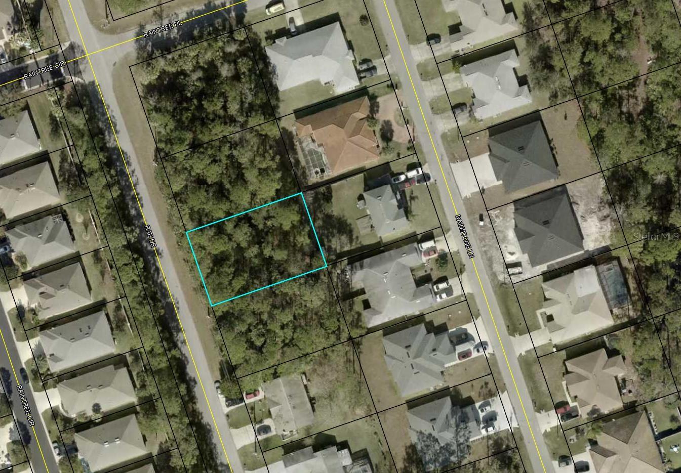 115 RAE DR + 117 RAE DR + 119 RAE DR + 121 RAE DR (SIDE BY SIDE LOTS) ALL AVAILABLE BY SAME SELLER!! Check out and purchase this QUARTER ACRE LOT in Florida's fastest-growing city! This ELEVATED and DRY parcel offers a solid foundation; perfect for your future construction projects. Ideal for investors and buyers looking to secure an investment opportunity and capitalize on rapid SUBURBAN growth!