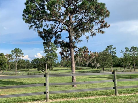 Tiny photo for 4981 N Mulberry Loop, Beverly Hills, FL 34465 (MLS # OM734544)