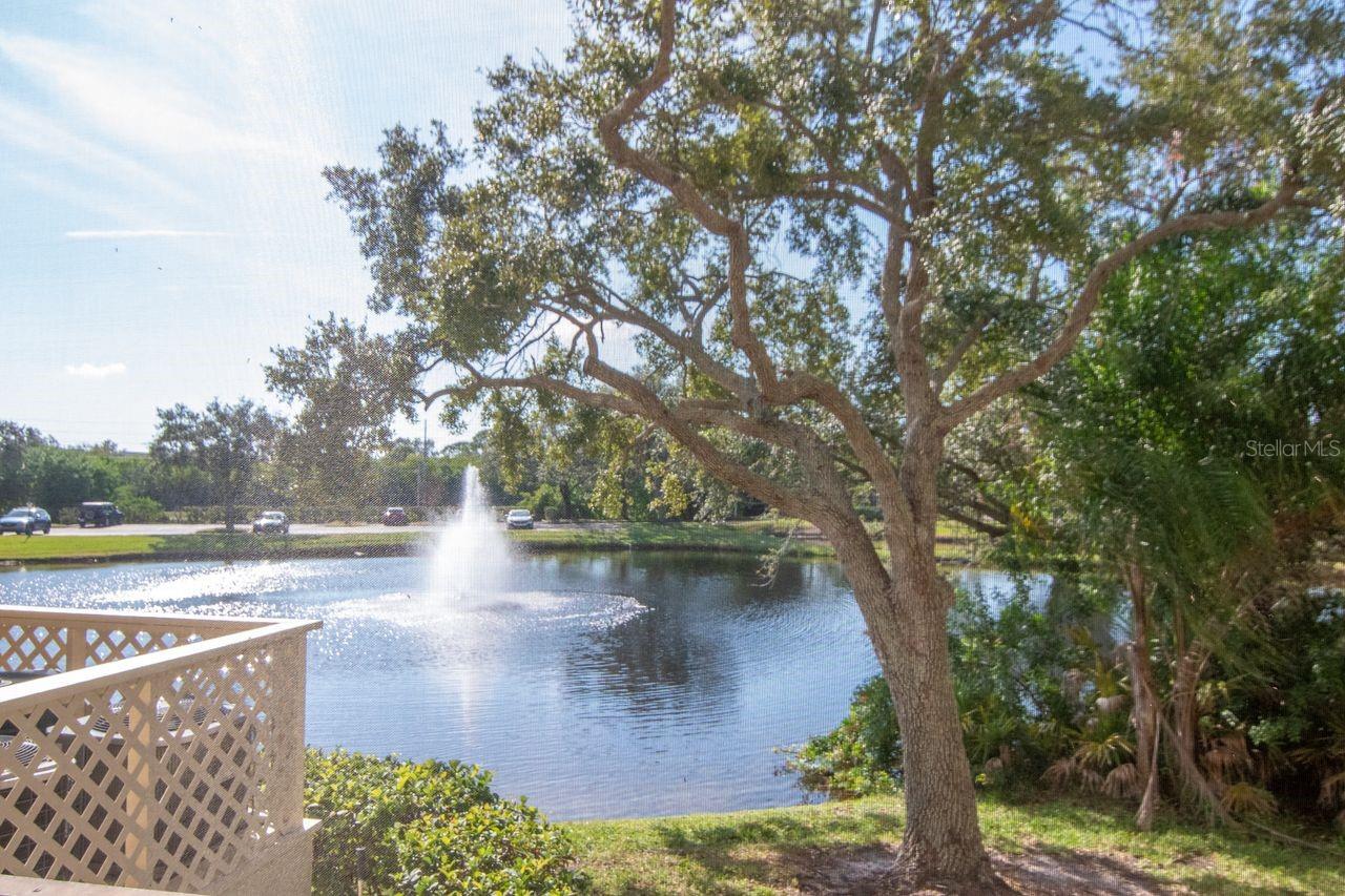 BRIDGEWATER PLACE CONDO - Residential