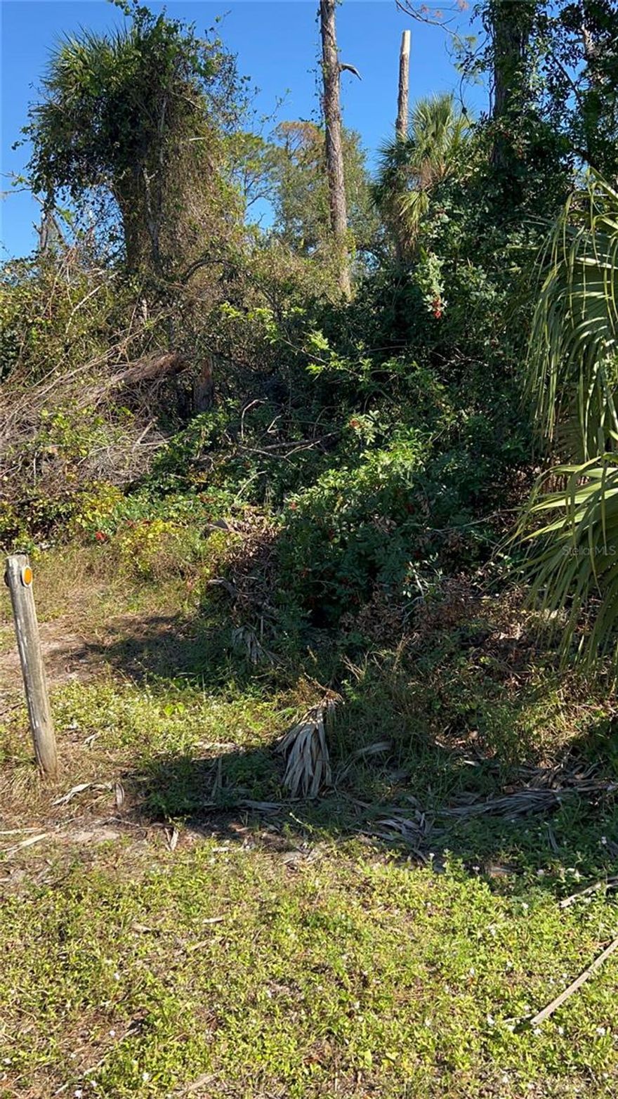 Discover the potential of Lot 1, Block 213 in the 6th Addition to Port Charlotte, situated in beautiful Sarasota County, Florida. This spacious parcel  a unique opportunity to build your dream home. Nestled in a serene setting, this lot provides a blank canvas for creating a personalized oasis. Enjoy the convenience of being close to local amenities, parks, and recreational activities. Embrace the Florida lifestyle with this exceptional piece of land.