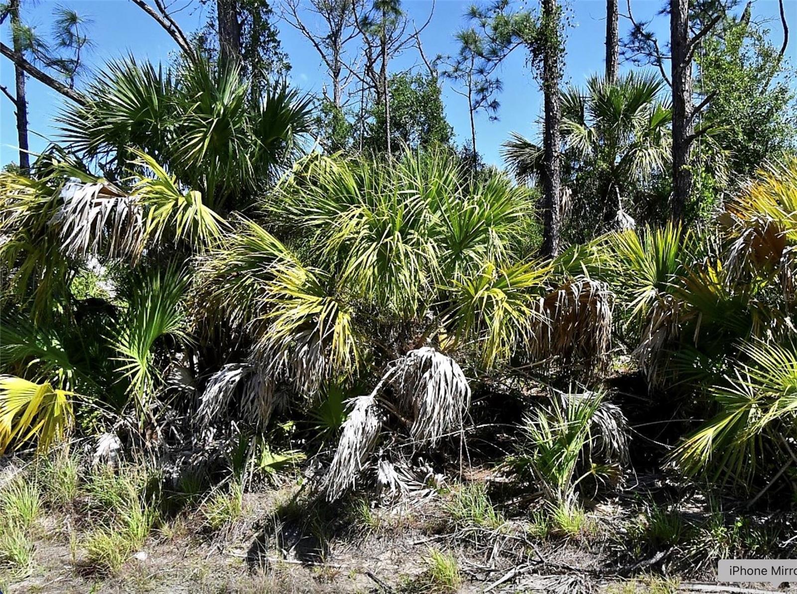 Photo 1 of 3 of land for sale at Guttenburg Road, North Port, FL 34288