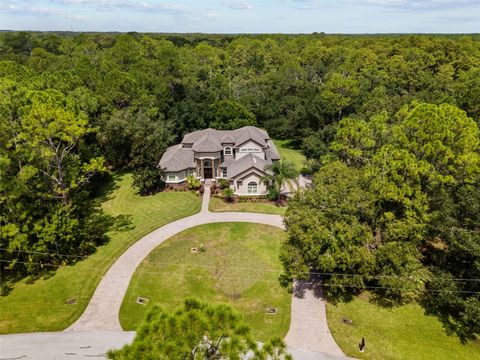 Photo of 10826 Alico Pass, New Port Richey, FL 34655 (MLS # TB8424096)