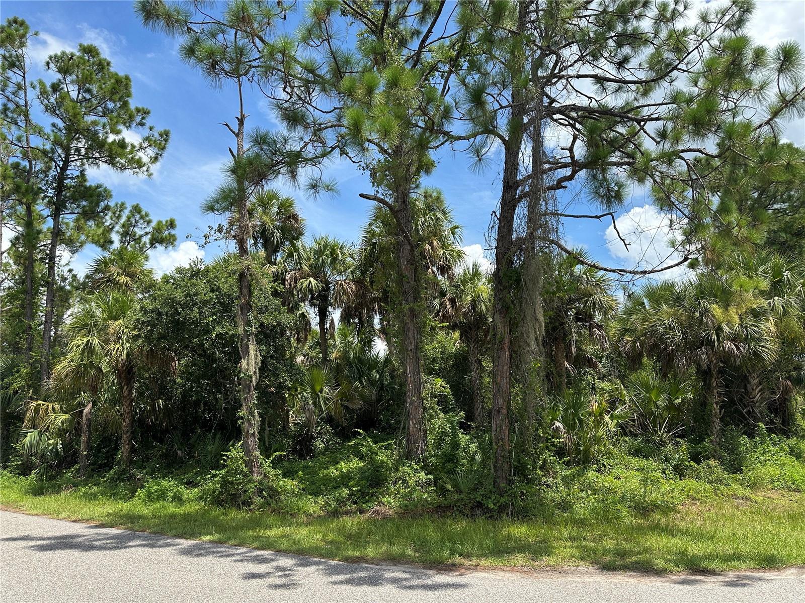 Great investment or homesite opportunity in North Port. This lot is ready for you to build the house of your dreams where you can do what you want with no HOA or CDD fees. Building here also gives you the freedom to choose your builder and floor plan. This corner lot has mature trees and a greenbelt buffer behind it to give you more space and privacy. Enjoy being close to all the conveniences of North Port, with easy access to shopping, dining, schools, and the stunning Gulf Coast beaches just a short drive away.