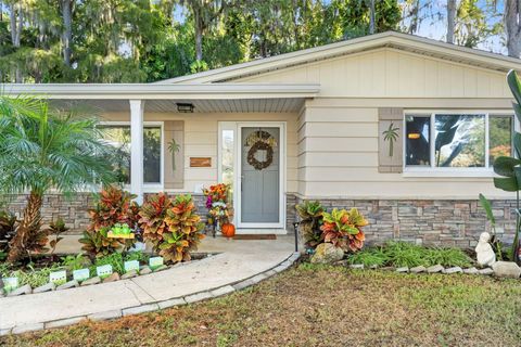 Photo of 7532 Banner Street, New Port Richey, FL 34653 (MLS # W7880096) Photo of 7532 Banner Street, New Port Richey, FL 34653 (MLS # W7880096)