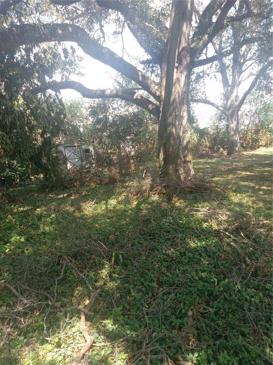 WASHINGTON PARK - Land