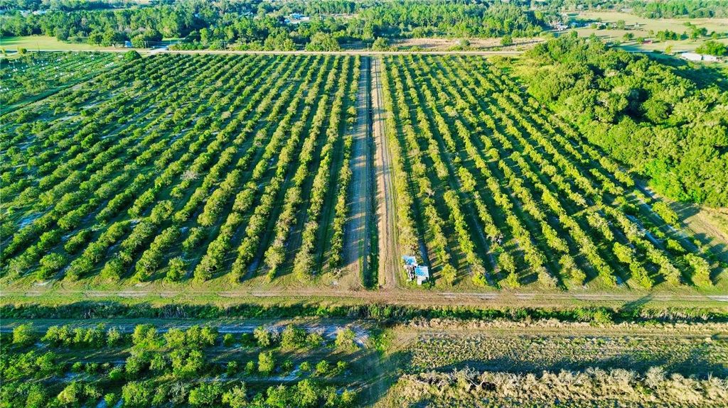 Photo of 2233 Hicks Road, Lorida, FL 33857 (MLS # L4957951)