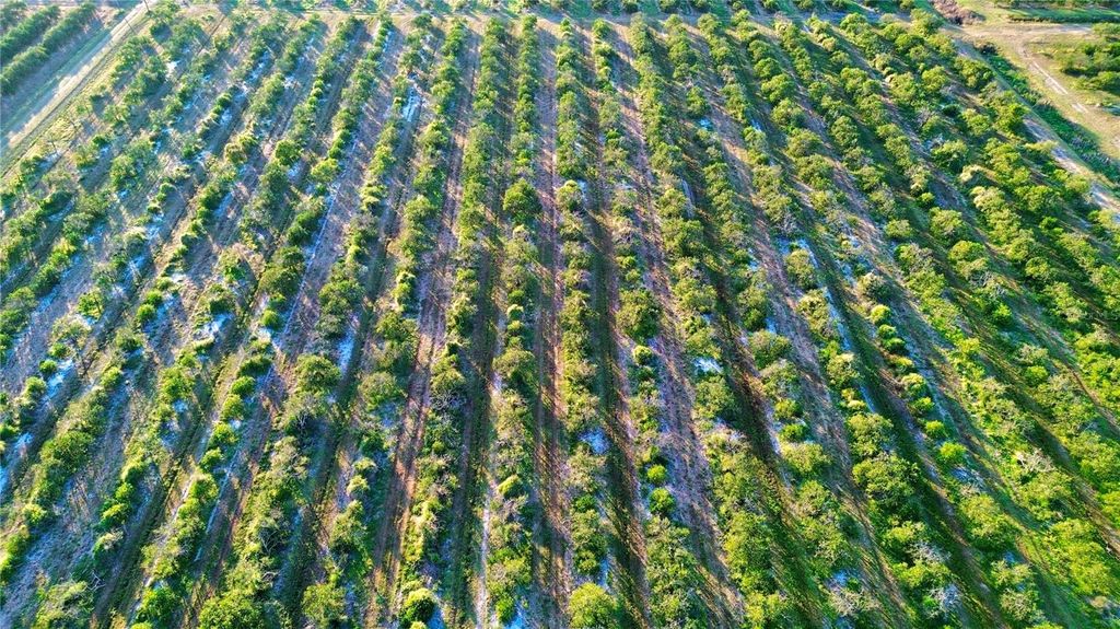 Photo of 2233 Hicks Road, Lorida, FL 33857 (MLS # L4957951)