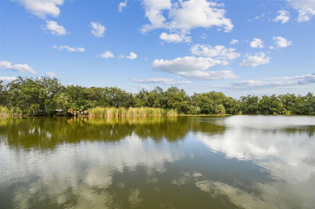 Photo of 9504 Starlite Drive, Riverview, FL 33578 (MLS # TB8442338)