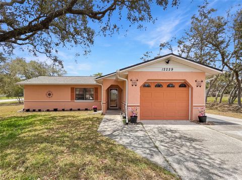 Photo of 12229 Cedro Street, Spring Hill, FL 34609 (MLS # W7883830)