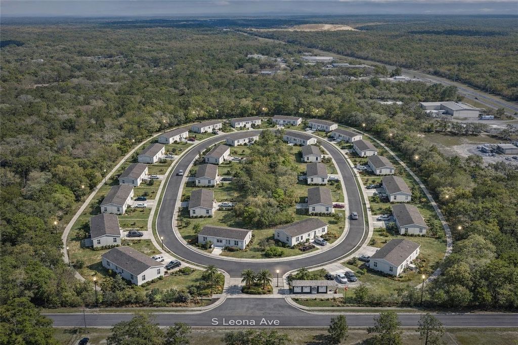 Photo of 589 S Leona Avenue, Lecanto, FL 34461 (MLS # O6395290)