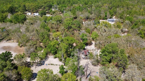 Tiny photo for 589 S Leona Avenue, Lecanto, FL 34461 (MLS # O6395290)