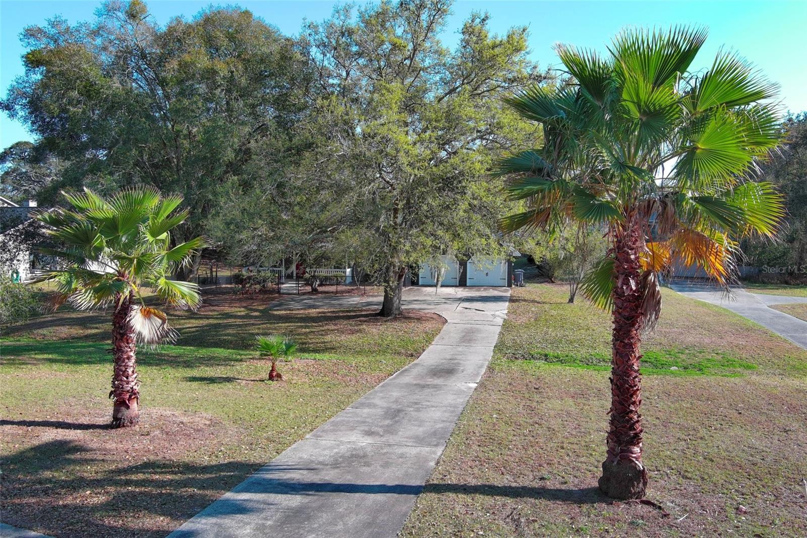 APPLE ORCHARD THE - Residential