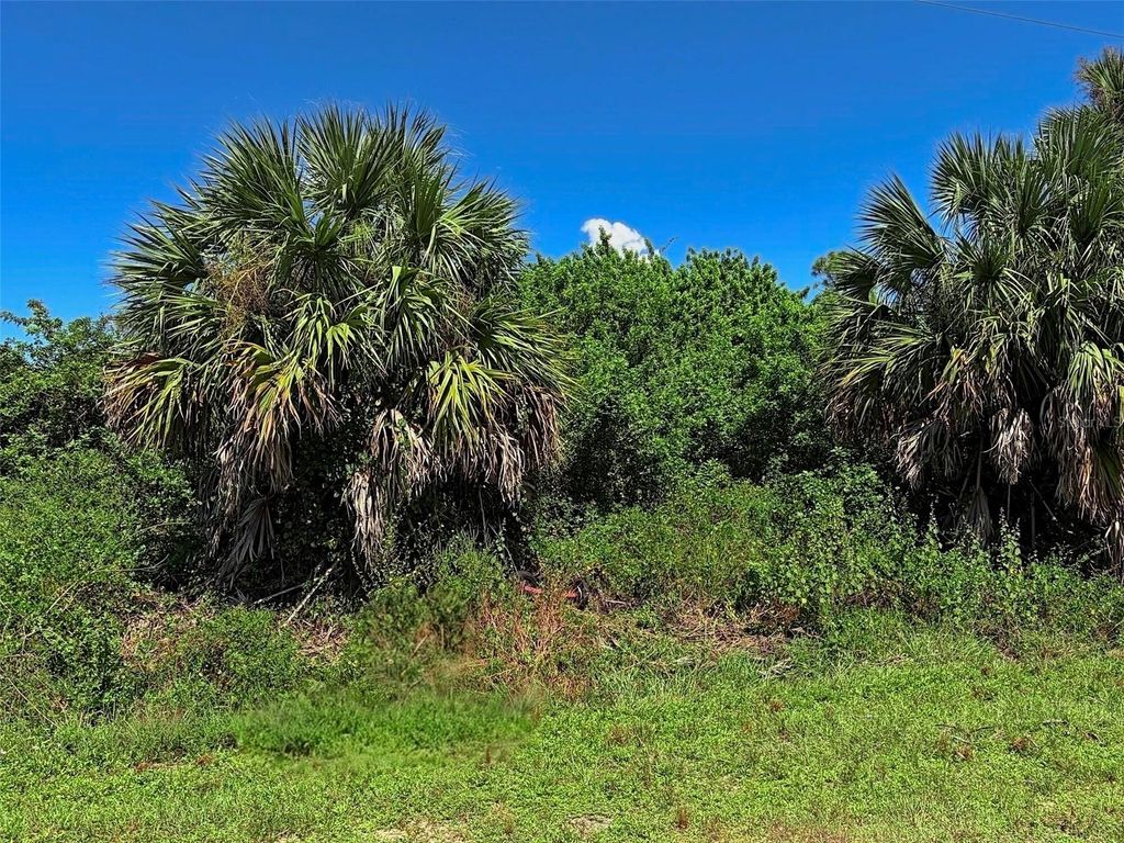 Photo of Hillsborough Boulevard, North Port, FL 34288 (MLS # O6349786)