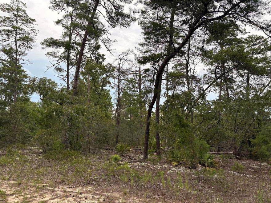 Vacant .28 building lot in the desirable Sugarmill Woods Oak Village in Homosassa. Located on a private cul-de-sac with newer homes, with a greenbelt behind the property, enjoy the tranquility of the Nature Coast while still being close to amenities. This location allows easy access to US-98 and the Suncoast Parkway, and is only one hour from Tampa International Airport. Close to the Oak Village Sports Complex with pool, tennis and pickleball. This lot is high and dry at 60 feet elevation, yet is close to the Gulf and the crystal clear springs of the Chassahowitzka River, Homosassa River and more! There are plenty of hiking, biking, golf, fishing and kayaking opportunities nearby. Shopping, healthcare, waterfront dining and the Homosassa Springs Wildlife State Park are minutes away. Electricity, public water and sewer available for your convenience. Build now or later. Come take a look today!
