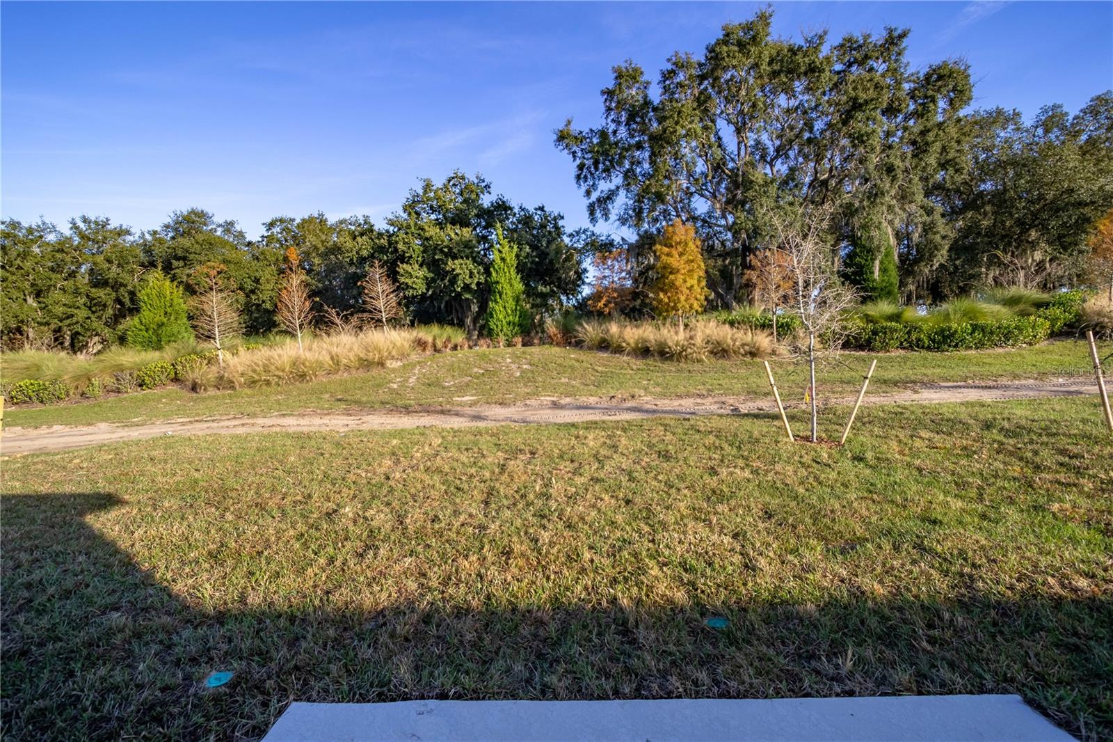 TRINITY LAKES 50 - Residential Lease