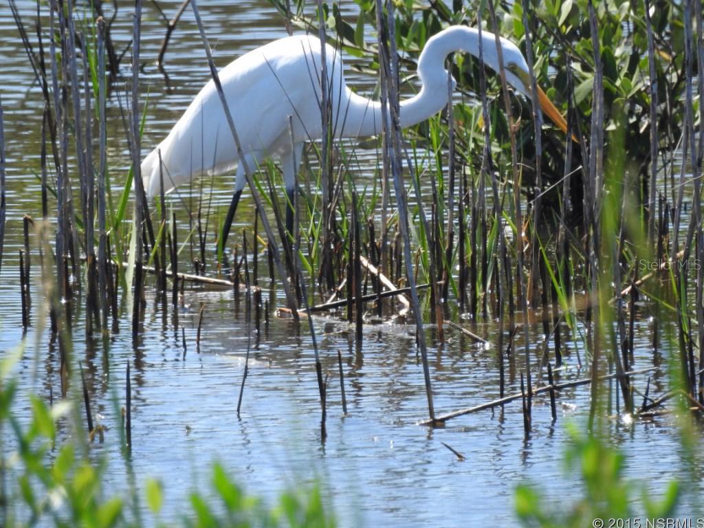 Shangri La Village - Residential