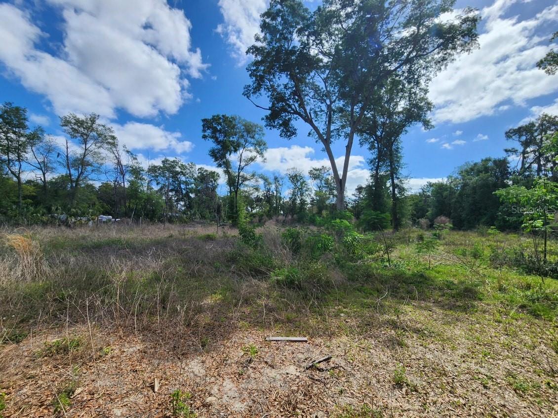 DES PINAR ACRES - Residential