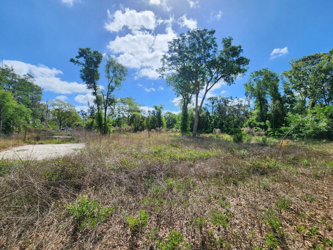 DES PINAR ACRES - Residential