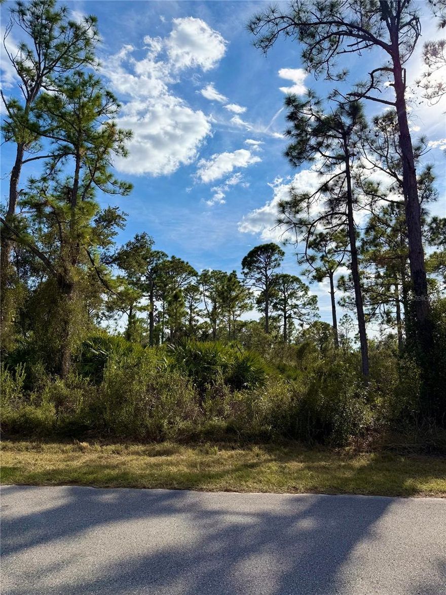Priced to sell!! Build your Florida dream home on this spacious vacant residential lot located on a quiet, developing street with newer homes built and slated to be built. This location offers perfect balance of privacy and convenience. Enjoy easy access to I-75 for commuting to Sarasota, Punta Gorda & surrounding areas. Close to shopping, dining, schools, golf courses, parks and medical facilities. No HOA!! No CDD fees or deed restrictions! Providing flexibility for your custom build. Whether your planning your future home or an investor, this lot is ideally situated in one of North Port's growing neighborhoods. Secure your piece of Southwest Florida today!