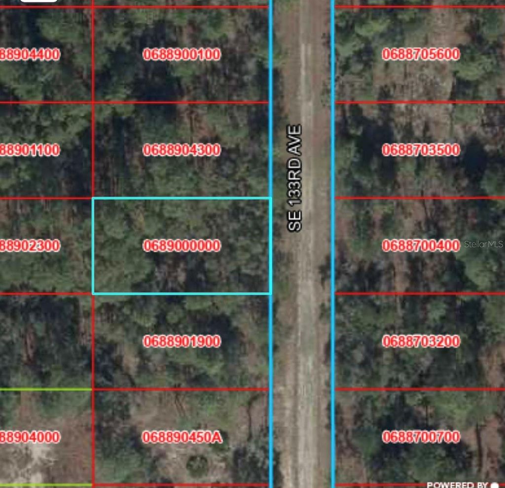 Photo of Tbd 133rd Avenue, Dunnellon, FL 34431 (MLS # O6410303)