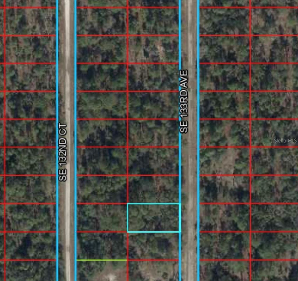 Photo of Tbd 133rd Avenue, Dunnellon, FL 34431 (MLS # O6410303)