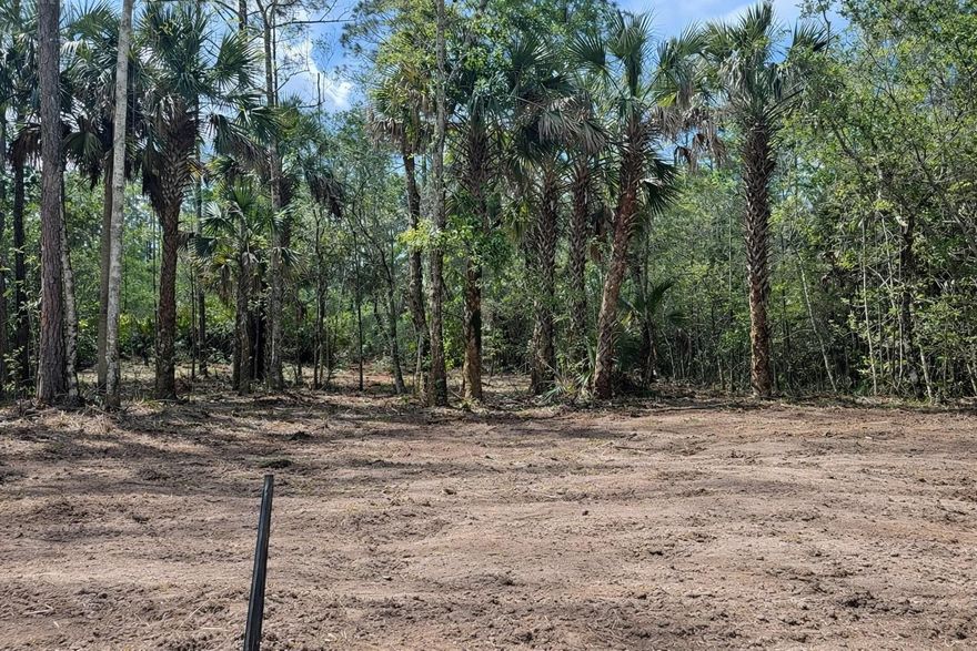 BEAUTIFUL HIGH AND DRY LOT *ALREADY CLEARED,* SURVEY *AND *PERK TEST DONE! READY FOR GO! THIS LOT IS PREMIUM! 
NO FLOOD ZONE!