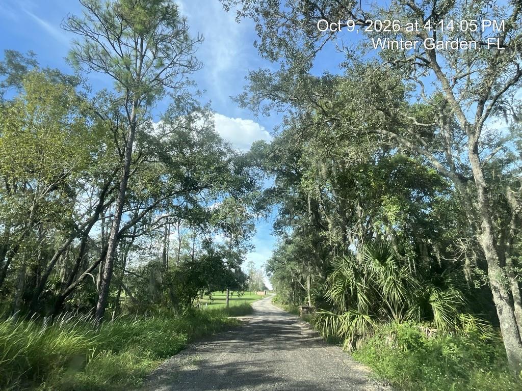 Photo of 9901 Avalon Woods Drive, Winter Garden, FL 34787 (MLS # O6450619)