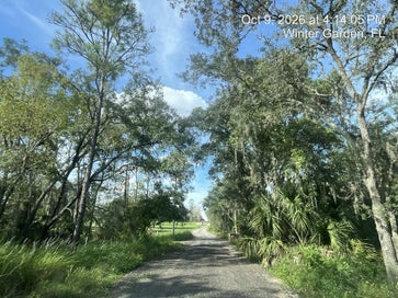9901 AVALON WOODS DRIVE WINTER GARDEN FL 34787