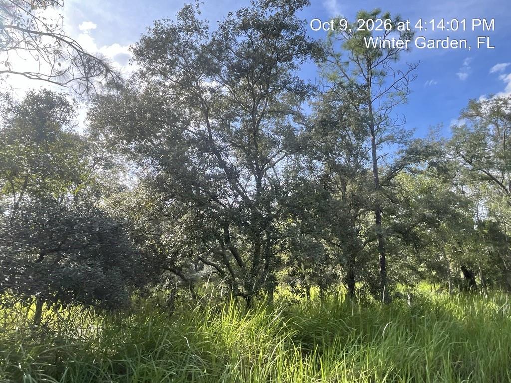Photo of 9901 Avalon Woods Drive, Winter Garden, FL 34787 (MLS # O6450619)