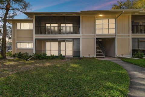 A home in TEMPLE TERRACE