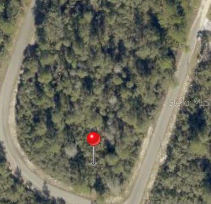 Welcome to Ocklawaha in Marion County.  Buy now, build now or build later.  Here's a well located buildable south facing corner lot on the east side of Silver Springs Shores SW. Size is .3000 acre Zoned R1 for a single family dwelling.  This area is HOA Free.  This property is located close to the Ocklawaha River & beautiful Silver Springs plus many other stunning fresh water springs.  It is also close to the Ocala National Forest & the World Equestrian Center.   Buyers/agents please verify with the appropriate authorities all information on zoning, land use, building requirements, utlilities and all other desired information.