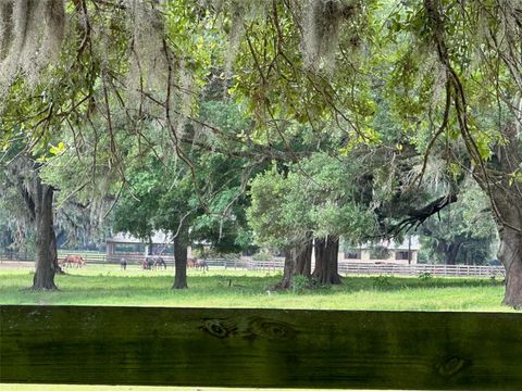 Tiny photo for 4101 NW 89th Place, Ocala, FL 34482 (MLS # OM676140)