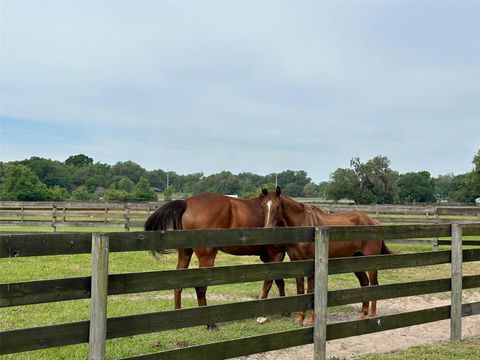 Tiny photo for 4101 NW 89th Place, Ocala, FL 34482 (MLS # OM676140)