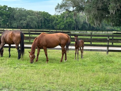 Tiny photo for 4101 NW 89th Place, Ocala, FL 34482 (MLS # OM676140)