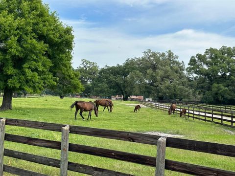 Tiny photo for 4101 NW 89th Place, Ocala, FL 34482 (MLS # OM676140)