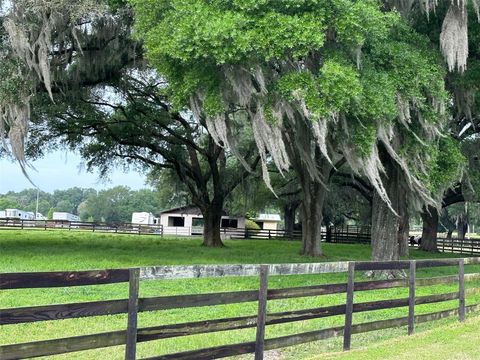 Tiny photo for 4101 NW 89th Place, Ocala, FL 34482 (MLS # OM676140)