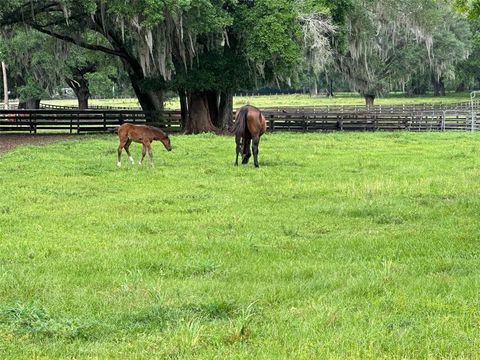 Tiny photo for 4101 NW 89th Place, Ocala, FL 34482 (MLS # OM676140)