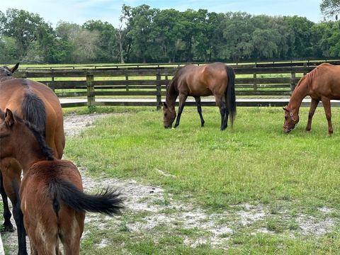 Tiny photo for 4101 NW 89th Place, Ocala, FL 34482 (MLS # OM676140)