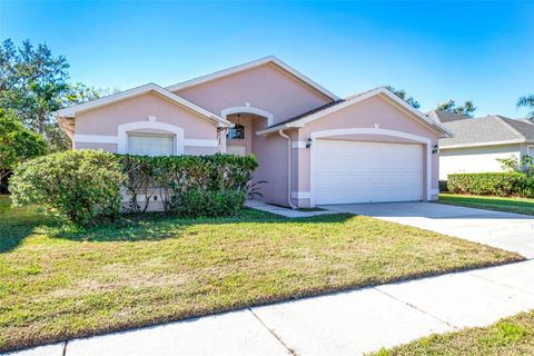 A home in WESLEY CHAPEL