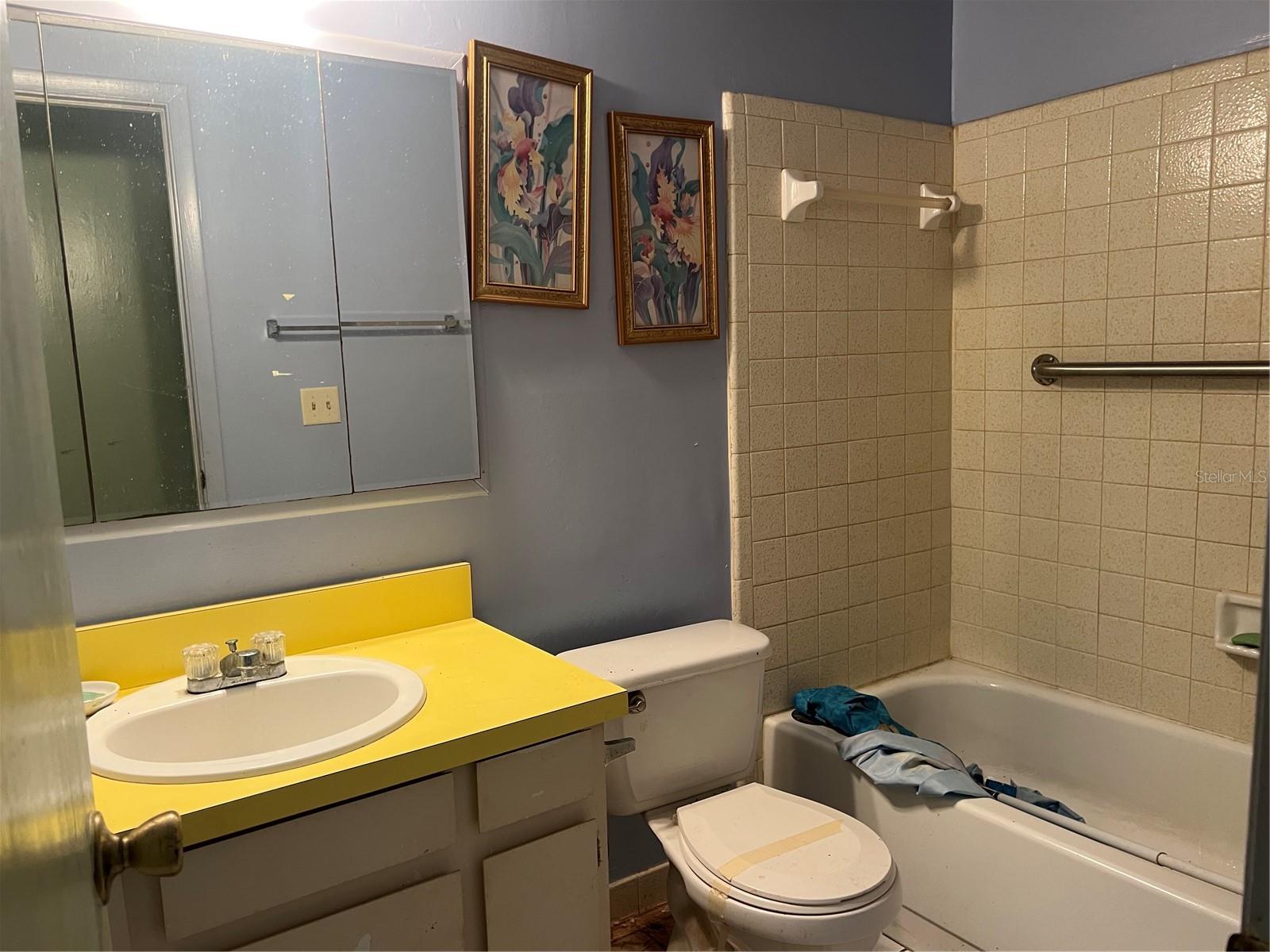 QUAIL HOLLOW AT RIO PINAR - Residential