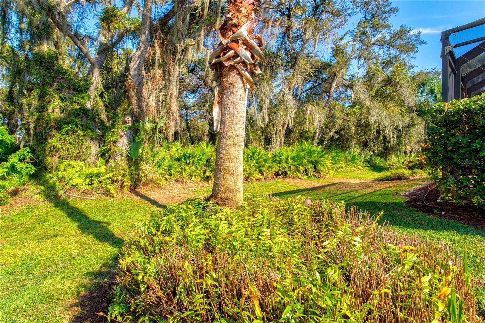 COUNTRY MEADOWS PH I - Residential