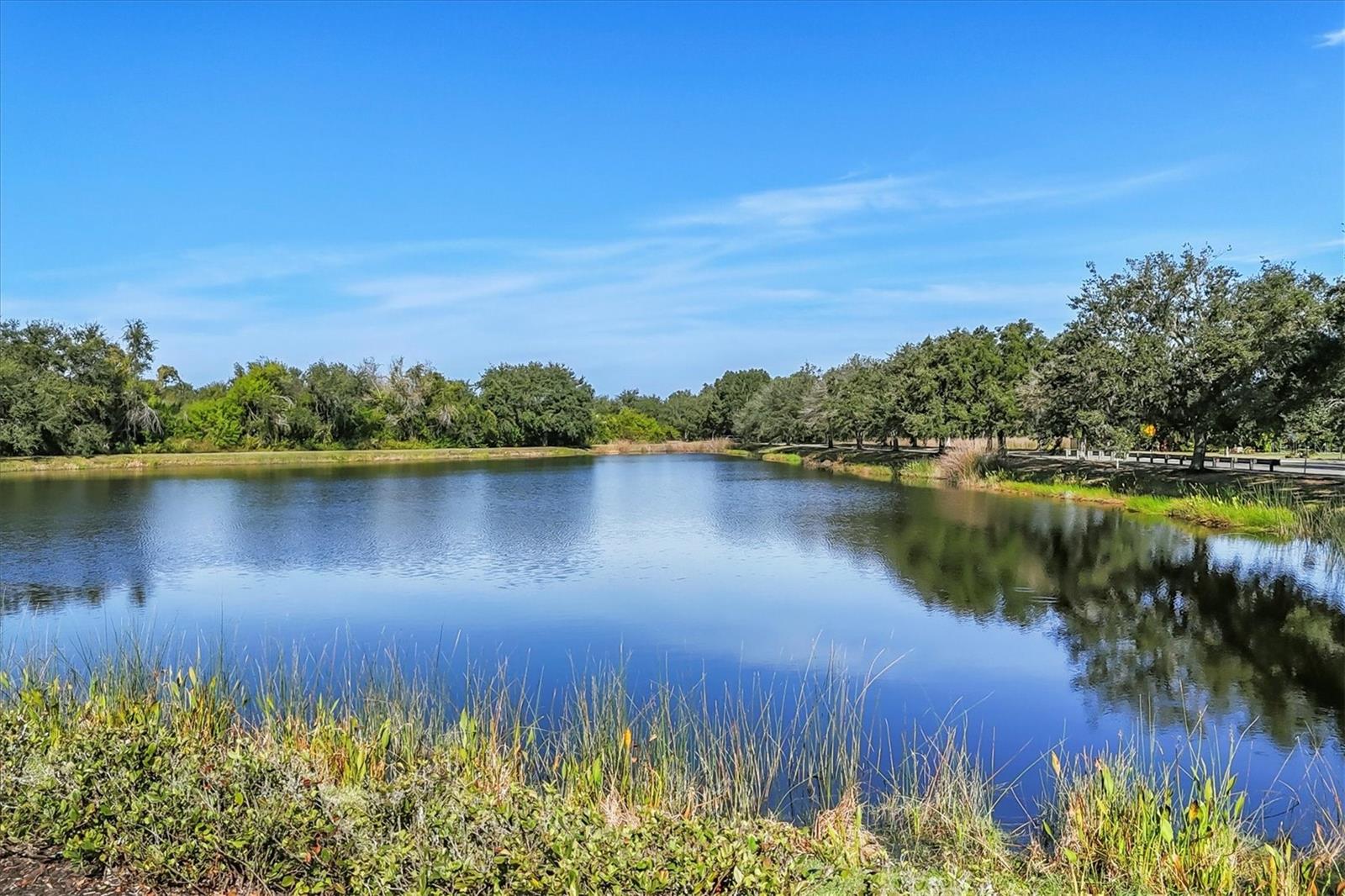 GREYHAWK LANDING PH 1 - Residential