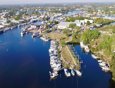 A home in PALM HARBOR