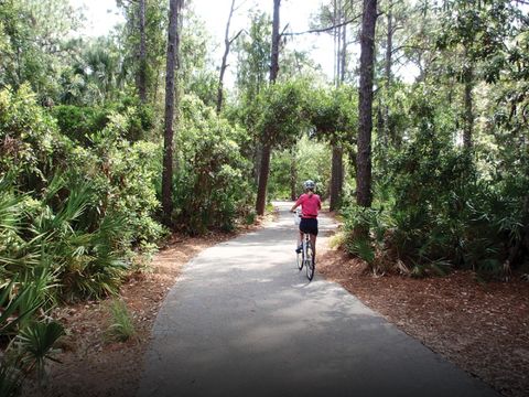 A home in PALM HARBOR