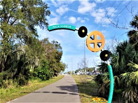 A home in PALM HARBOR