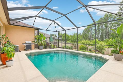 Property photo of 20932 Amanda Oak Court, Land O Lakes, FL 34638