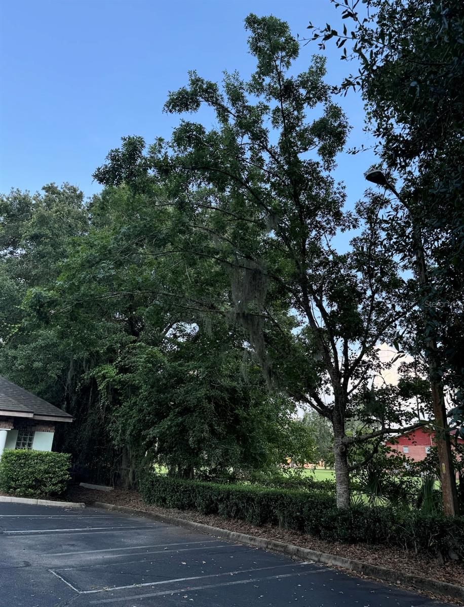 PINE GROVE PROFESSIONAL CENTER - Commercial Sale