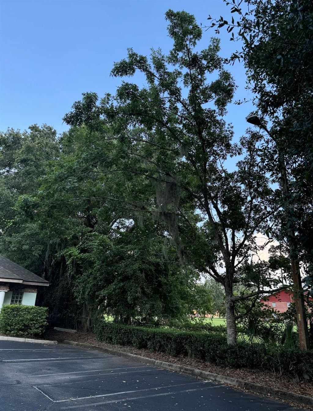 Photo of 4031 NW 43rd Street, Gainesville, FL 32606 (MLS # O6341769)