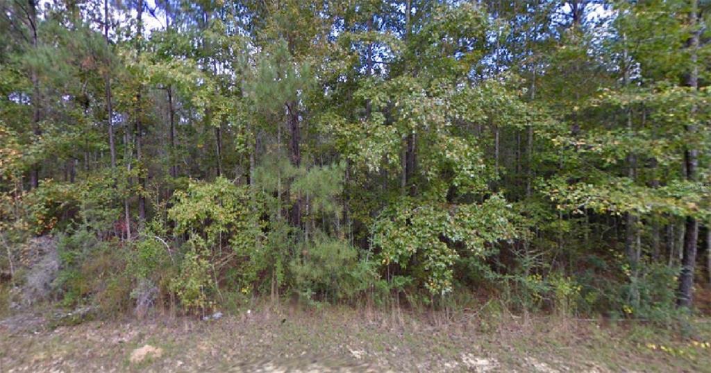 Great vacant lot!!!